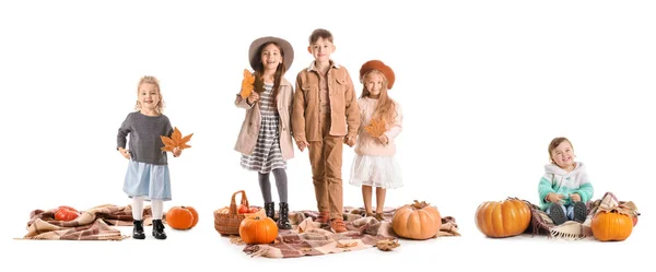 Conjunto Lindos Niños Pequeños Ropa Otoño Con Calabazas Aisladas Blanco — Foto de Stock