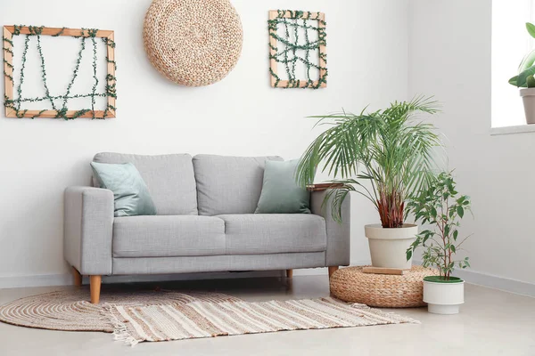 Interior Ruang Tamu Cahaya Dengan Sofa Kantong Dan Tanaman Rumah — Stok Foto