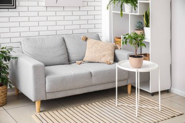 Ev bitkileriyle, raf ünitesi ve kanepeyle aydınlık oturma odasının içinde.