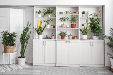 Aydınlık duvarın yanında farklı ev bitkileri olan büyük bir raf ünitesi.