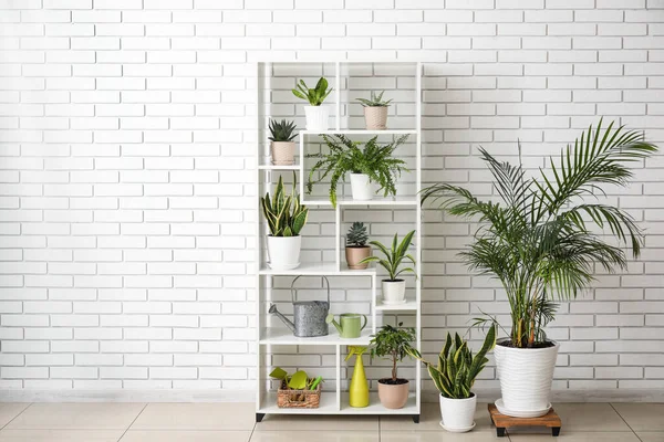 Shelving unit with different houseplants near white brick wall