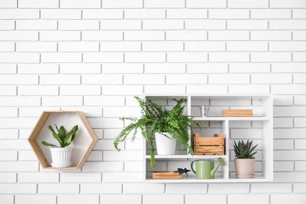 Shelves Different Houseplants White Brick Wall — Stock Photo, Image