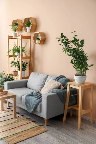 Interior Stylish Living Room Houseplants Sofa Shelving Unit — Stock Photo, Image