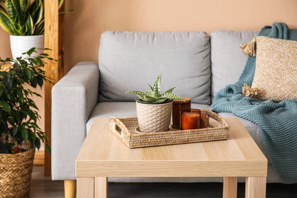 Bandeja Con Planta Interior Velas Sobre Mesa Salón —  Fotos de Stock