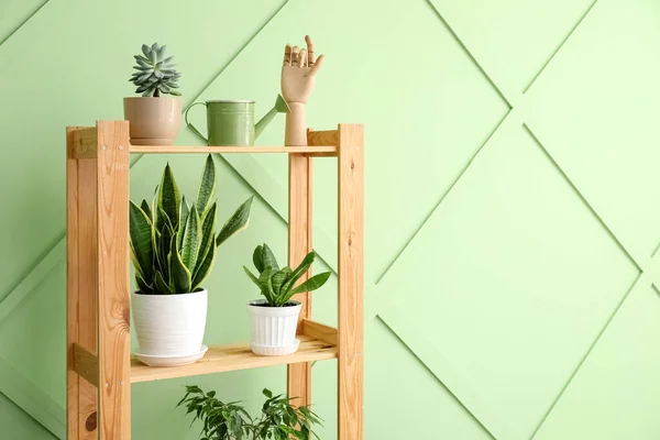 Unidade Estantes Madeira Com Plantas Sala Perto Parede Verde — Fotografia de Stock