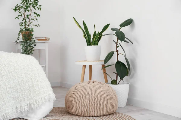 Pouf Tables Houseplants Light Bedroom — Stock Photo, Image