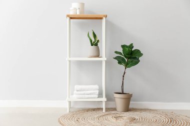 Havluları ve ışık duvarının yanında bitkileri olan raf ünitesi.