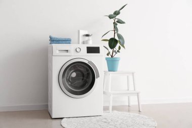 Merdivendeki ev bitkisi ve çamaşır makinesi ışık duvarının yanında.