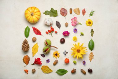 Doğal orman dekoru, çiçekler ve arka planda balkabağı kompozisyonu