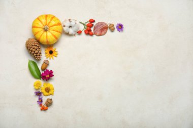 Doğal orman dekoru, çiçekler ve balkabağı arkaplanda güzel sonbahar kompozisyonu