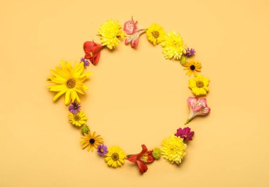 Renkli arkaplanda güzel sonbahar çiçeklerinden yapılmış çerçeve