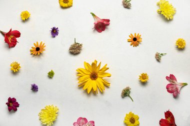 Açık arkaplanda güzel sonbahar çiçekleri olan kompozisyon