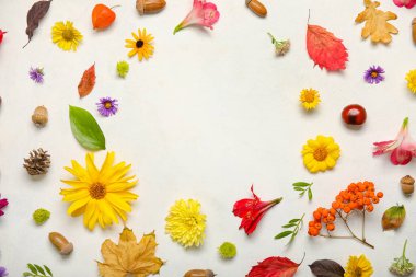 Güzel sonbahar çiçeklerinden yapılmış çerçeve ve ışık arka planında doğal orman dekoru