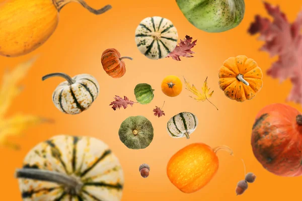 Many flying pumpkins and autumn leaves on orange background