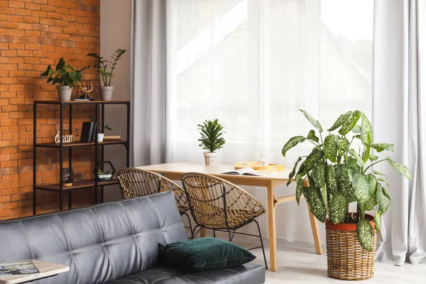 Interior Habitación Elegante Con Plantas Interior Mesa Comedor Estantería —  Fotos de Stock