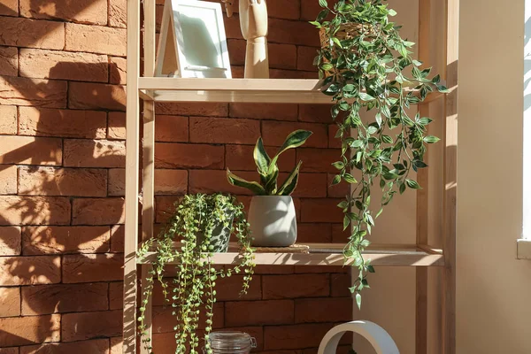 Shelving unit with green houseplants and decor near brick wall