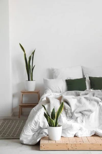 Interior Light Room Big Bed Houseplants Stepladder — Stock Photo, Image