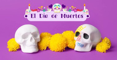 Meksika Ölüler Günü için kurukafalar (El Dia de Muertos) ve menekşe arka planda çiçekler