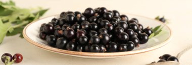 Açık arkaplanda olgun siyah frenk üzümü tabakası, yakın plan.