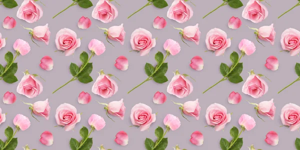 Viele Schöne Rosa Rosen Auf Grauem Hintergrund Muster Für Die — Stockfoto