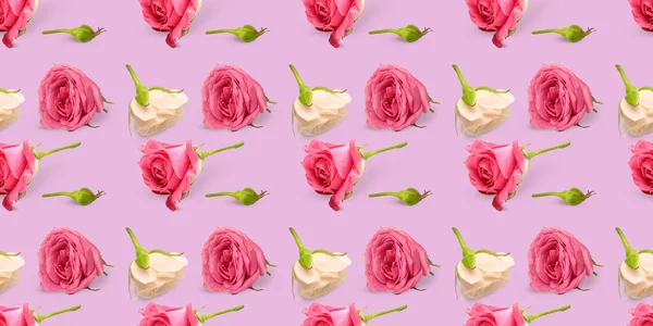 许多美丽的玫瑰在紫丁香背景 设计模式 — 图库照片