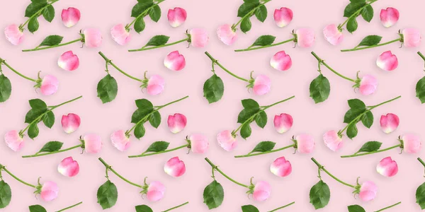 ピンクの背景に美しいバラがたくさんあります デザインのパターン — ストック写真