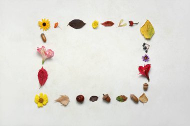 Doğal orman dekorundan yapılmış çerçeve ve ışık arka planında çiçekler