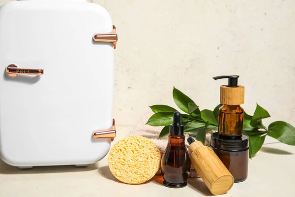 Small Refrigerator Natural Cosmetics Sponge Plant Branch Light Background — Stock Photo, Image