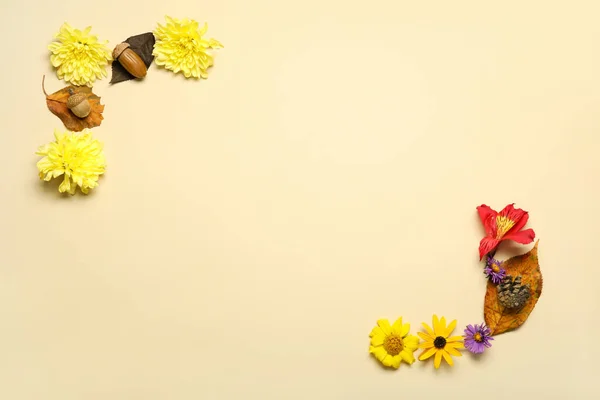 Renk Arkaplanında Çiçekler Olan Sonbahar Kompozisyonu — Stok fotoğraf