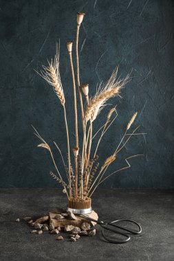 Koyu arkaplanda güzel ikebana, makas ve kayalarla Kenzan