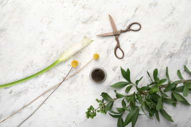 Çiçekli Kenzan, bitki dalı ve arka planda makas