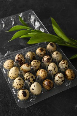 Esmer arka planda taze bıldırcın yumurtaları olan plastik tutucu, yakın plan.