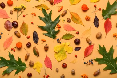 Renkli arka planda doğal orman dekoru olan güzel sonbahar kompozisyonu