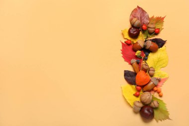 Renkli arka planda farklı orman dekoruna sahip güzel bir kompozisyon