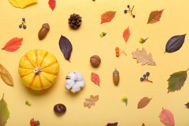 Renkli balkabağı ve doğal orman dekoru içeren sonbahar kompozisyonu