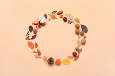 Renkli arka planda doğal orman dekorundan yapılmış yuvarlak çerçeve