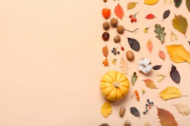 Doğal orman dekoru ve renk arkaplan yapraklı sonbahar kompozisyonu