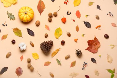 Doğal orman dekoru ve renk arkaplan yapraklı sonbahar kompozisyonu