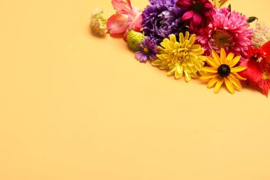 Turuncu arka planda parlak sonbahar çiçekleri