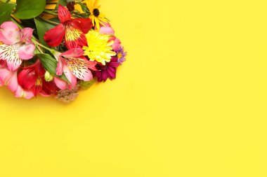 Sarı arka planda sonbahar çiçekleri, yakın plan.