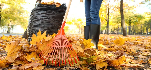 Woman raking autumn leaves in park