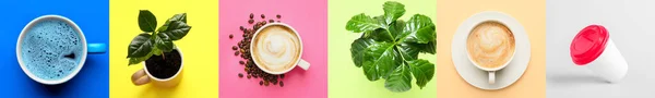 커피와 식물을 배경으로 창조적 콜라주 — 스톡 사진