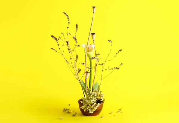 Bowl Beautiful Ikebana Yellow Background — Stock Photo, Image