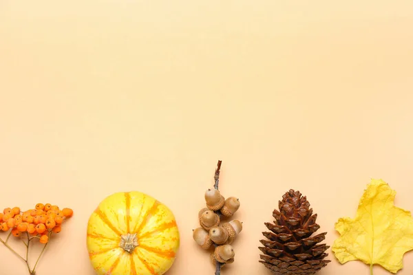 Βατόμουρα Κολοκύθα Βελανίδια Κουκουνάρι Και Φύλλα Φόντο Χρώματος — Φωτογραφία Αρχείου
