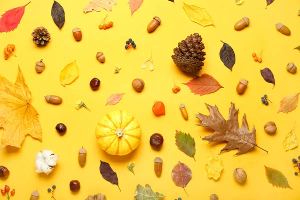 Bela Composição Outono Com Decoração Natural Floresta Fundo Amarelo — Fotografia de Stock