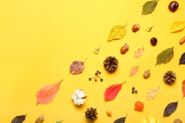 Bela Composição Outono Com Decoração Natural Floresta Fundo Amarelo — Fotografia de Stock