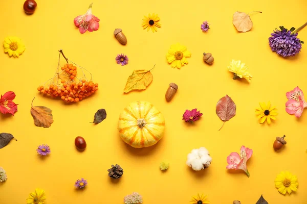 Φθινοπωρινά Λουλούδια Φύλλα Κάστανα Μούρα Κολοκύθα Και Βελανίδια Κίτρινο Φόντο — Φωτογραφία Αρχείου