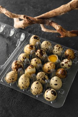 Koyu arkaplanda çiğ bıldırcın yumurtaları olan plastik tutucu, yakın plan.