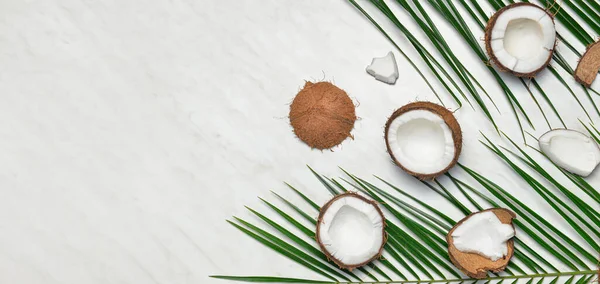 야자나무 배경에 위쪽을 보면서 코코넛 야자나무 — 스톡 사진