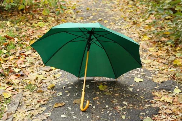 秋の公園で明るい傘 — ストック写真